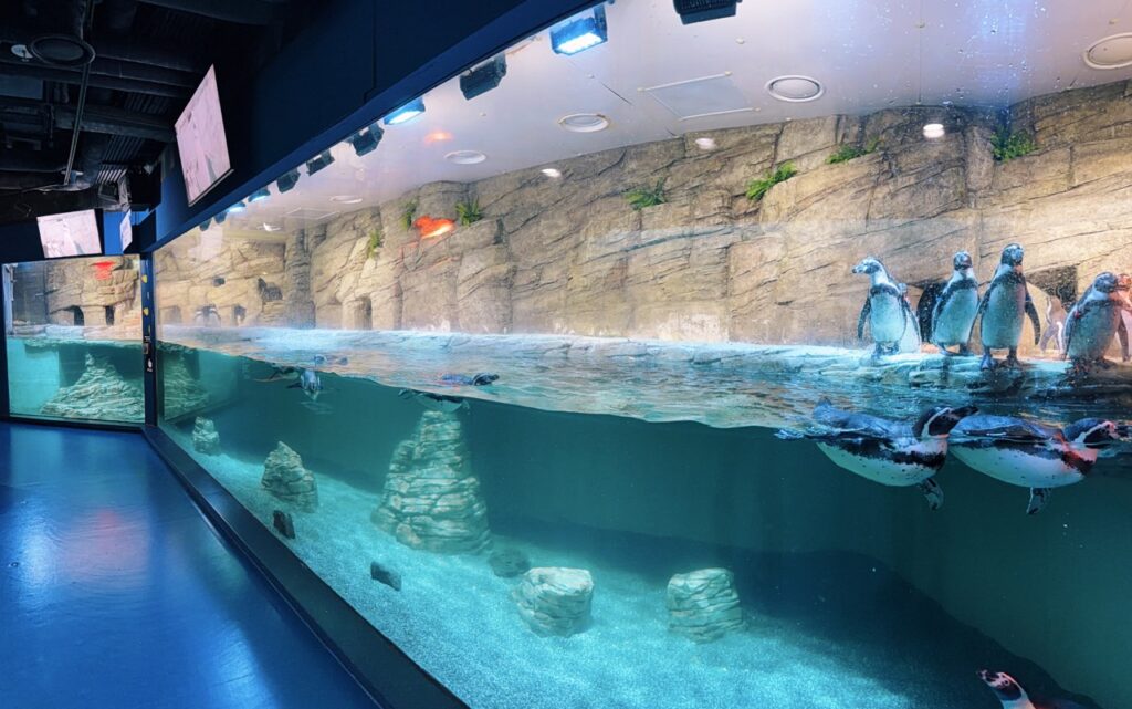 Sealife coex Aquarium Seoul