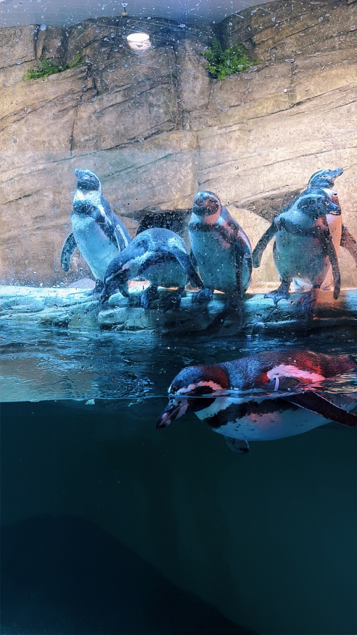 Sealife coex Aquarium Seoul
