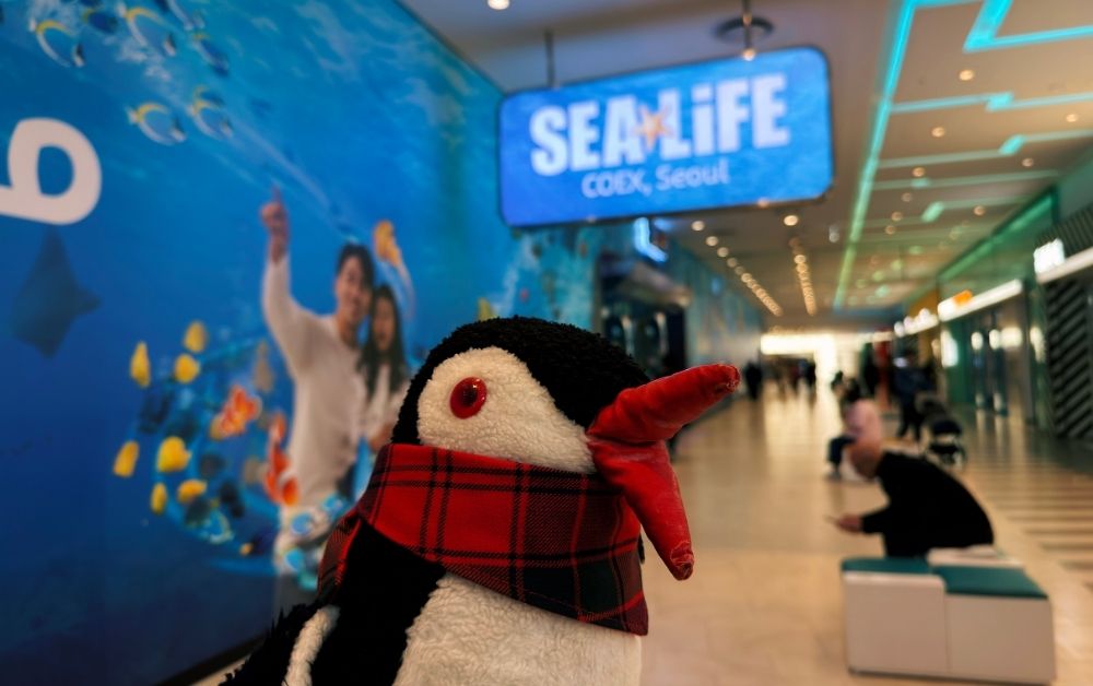 Sealife coex Aquarium Seoul featured