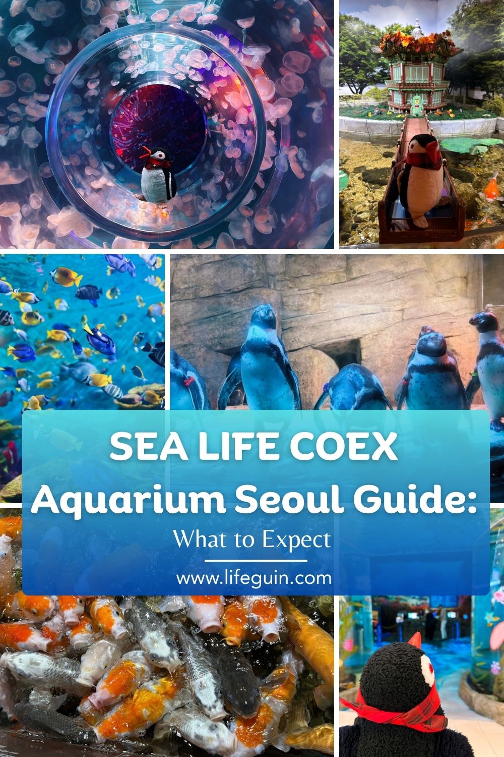 SEA LIFE COEX Aquarium Seoul Guide: What to Expect – follow Lifeguin on Pinterest