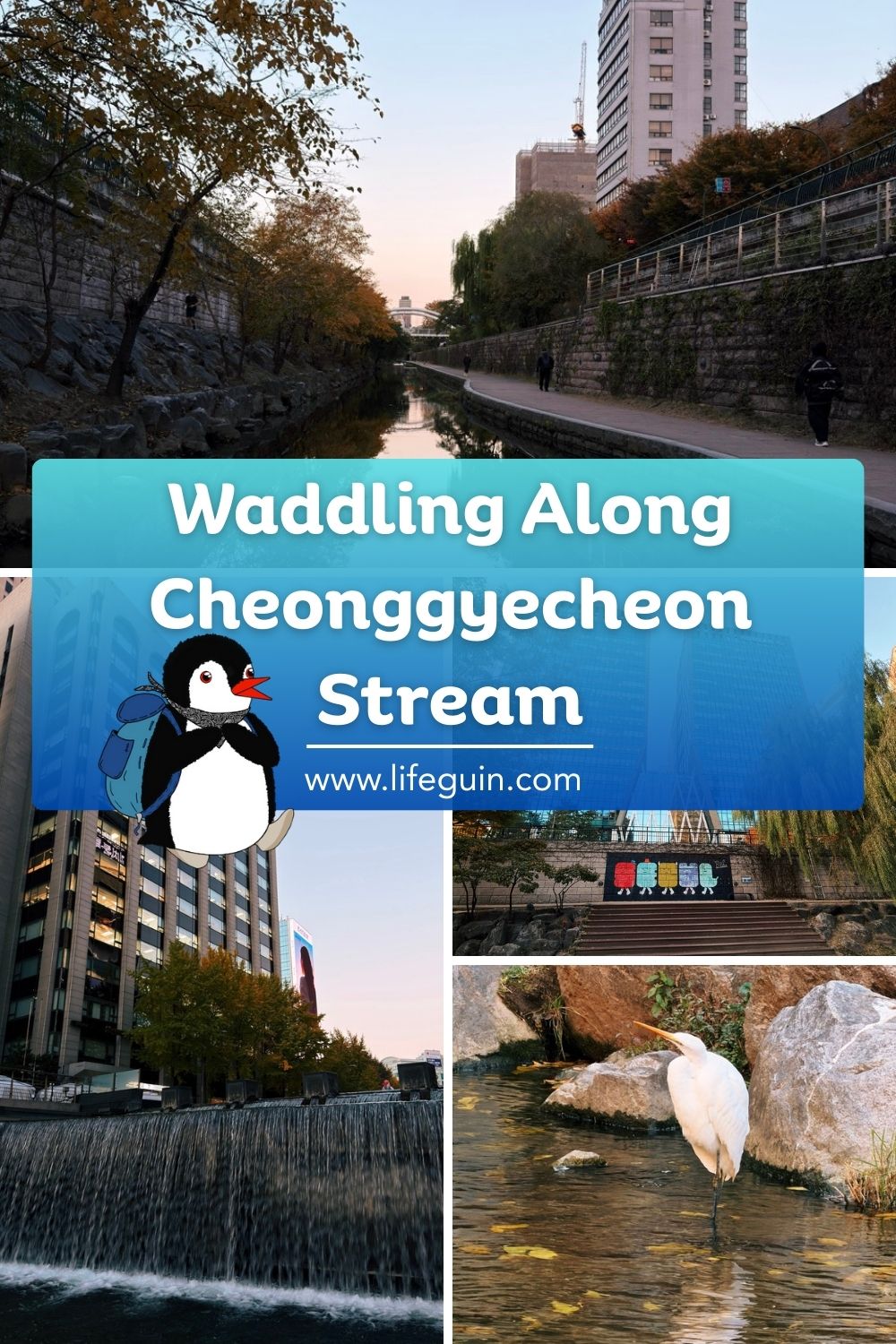 Waddling Along Cheonggyecheon Stream – follow Lifeguin on Pinterest