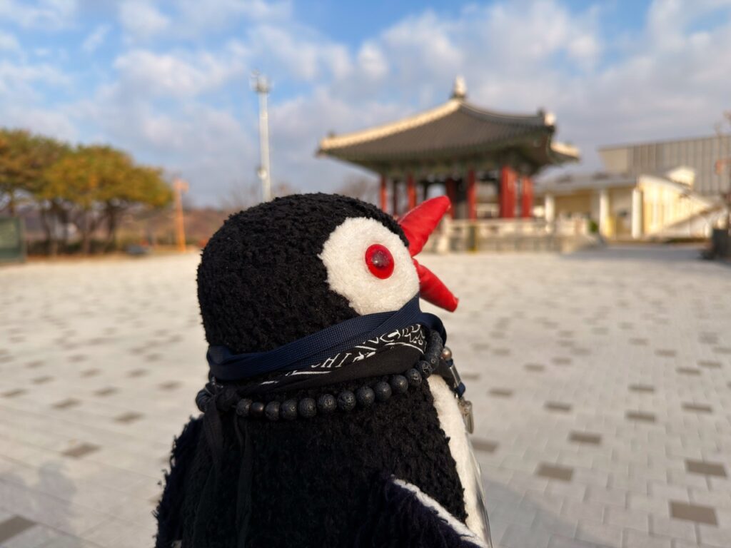 Dmz tour