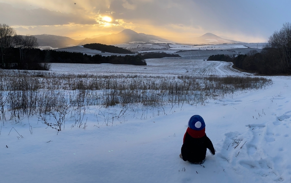 February Travel Month featured