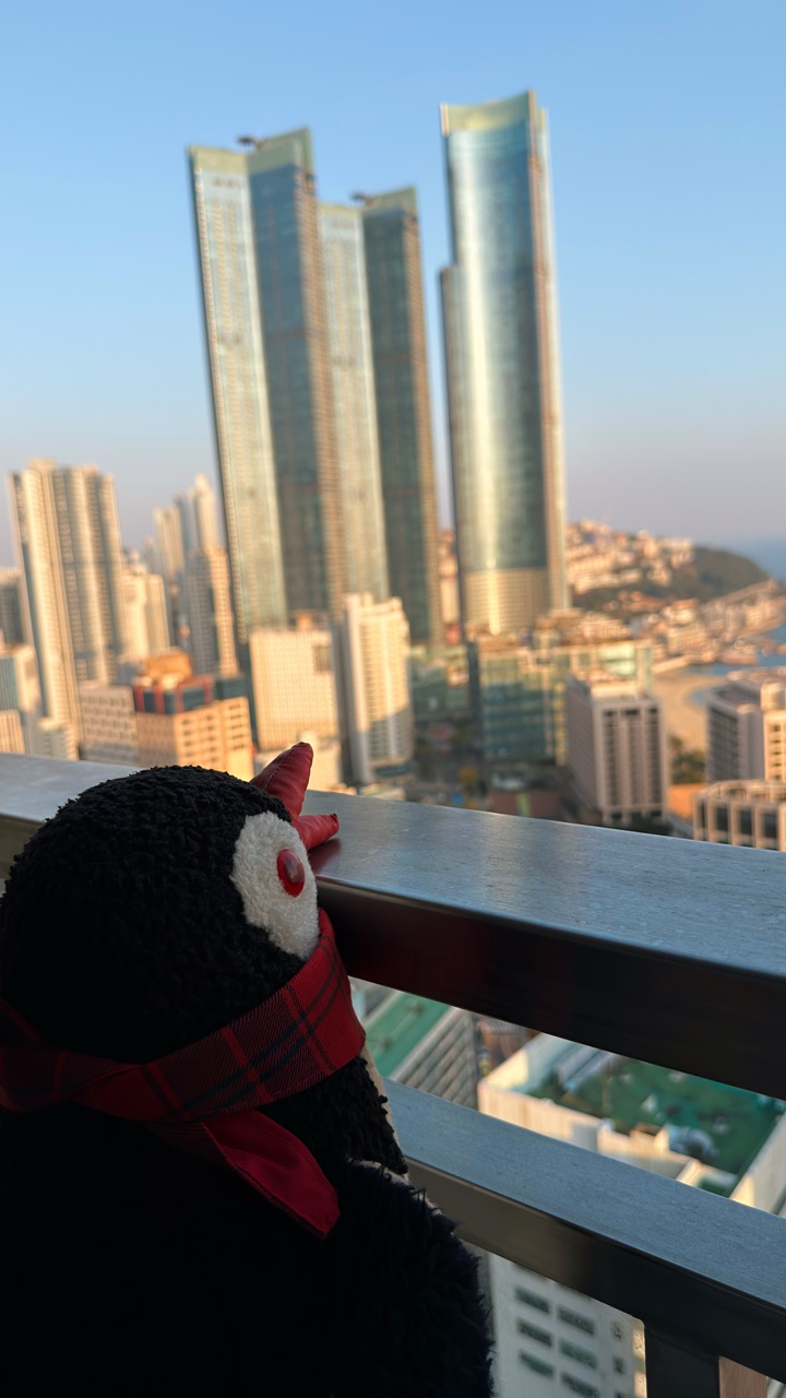 Marysol Hotel Busan review