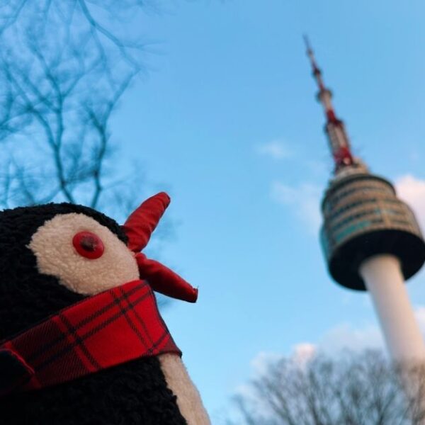 N Seoul Tower Seoul featured