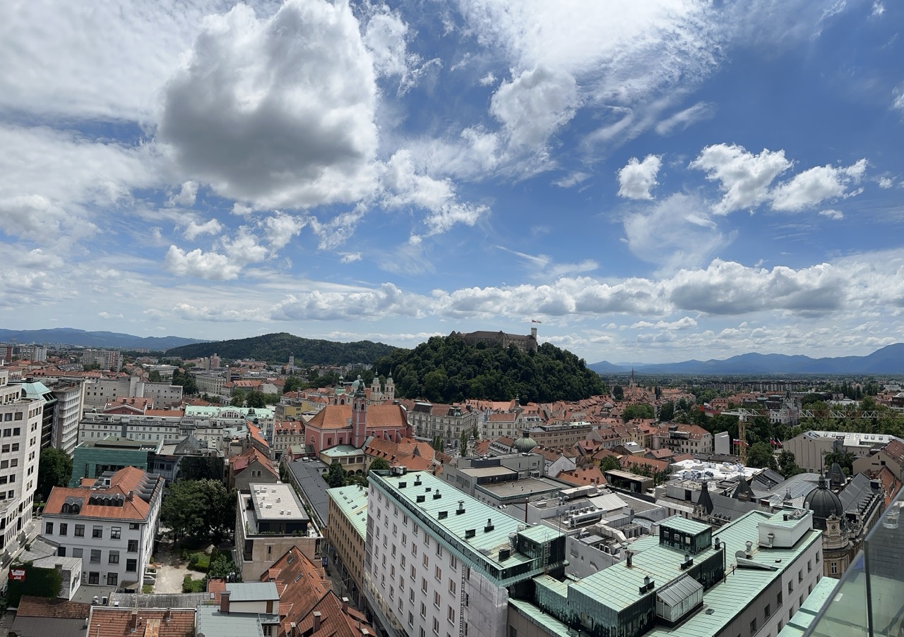 High angle view of a city with a castle on a hill