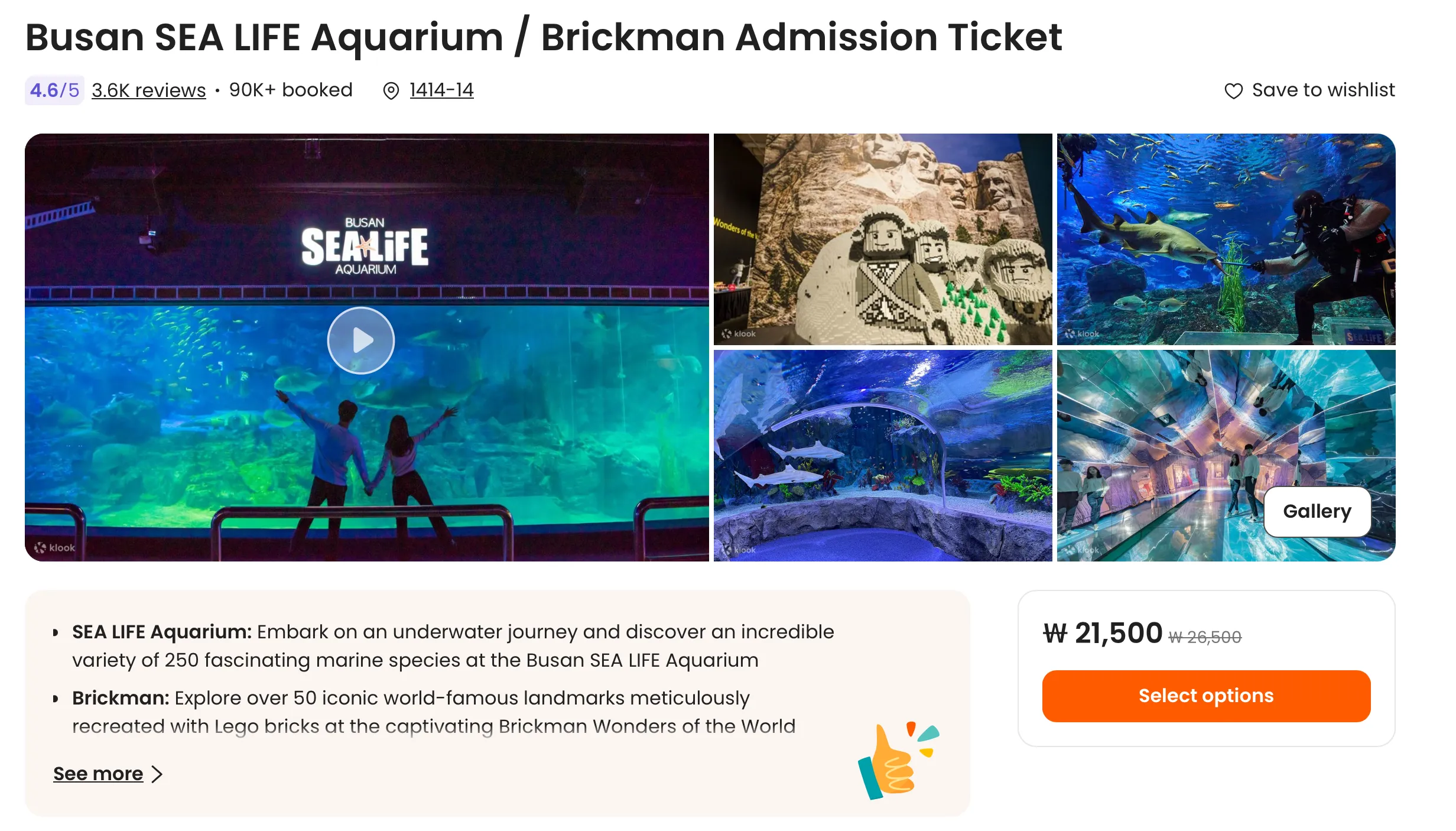 Busan sealife aquarium guide