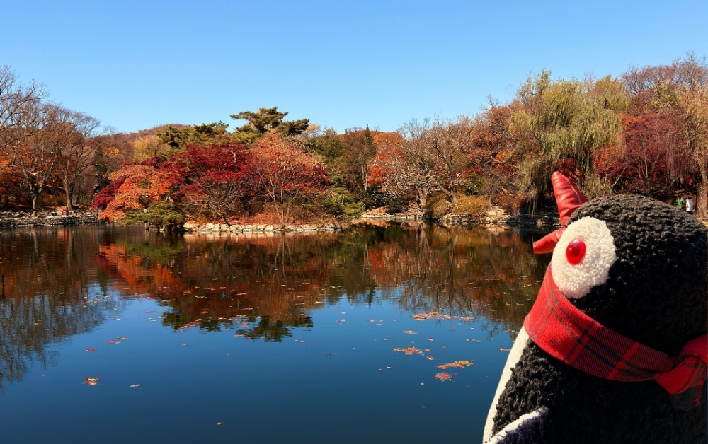 Changgyeonggung palce Seoul featured