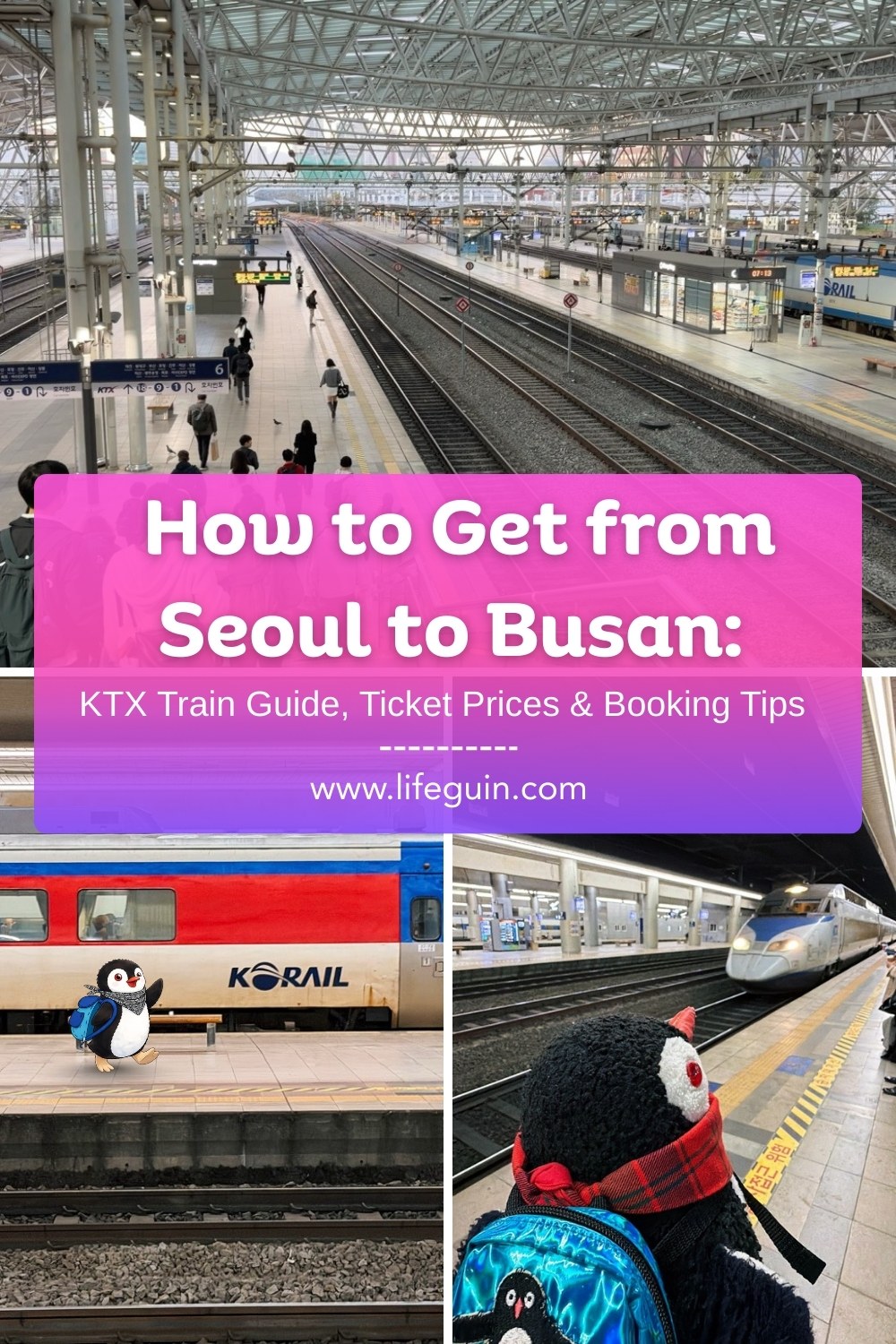 From Seoul to Busan bin