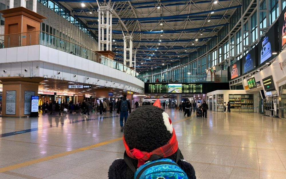 From Seoul to Busan featured