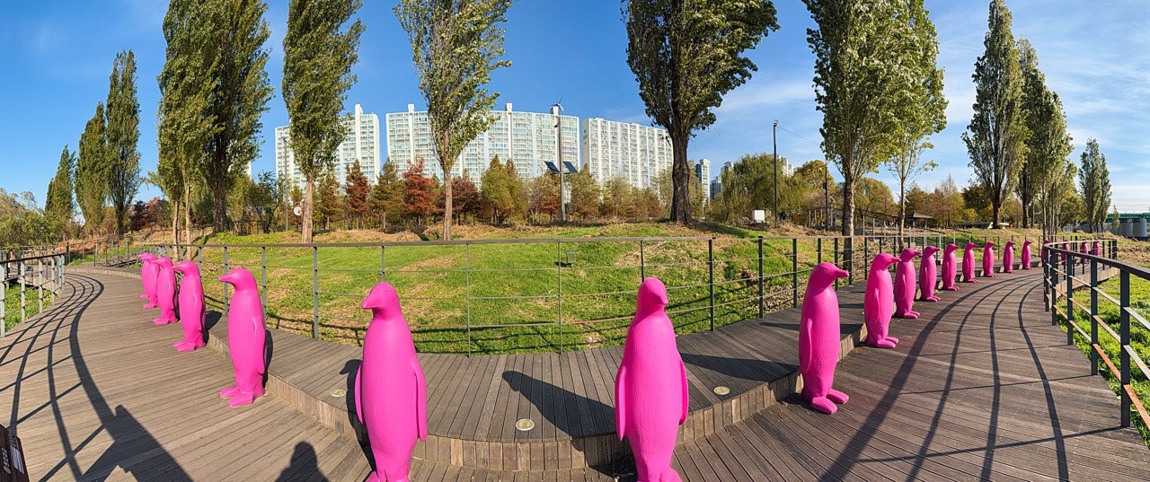 Pink penguins Seoul