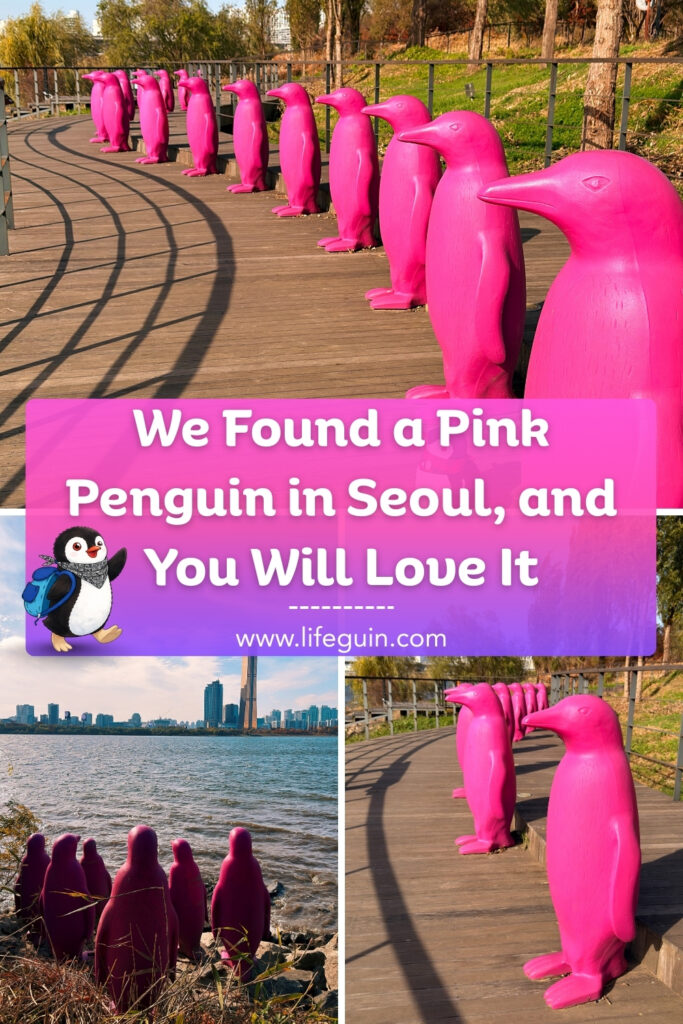 We Found a Pink Penguin in Seoul, and You Will Love It – follow Lifeguin on Pinterest