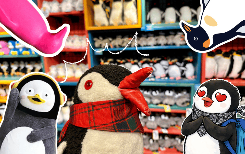Seoul penguins itinerary featured