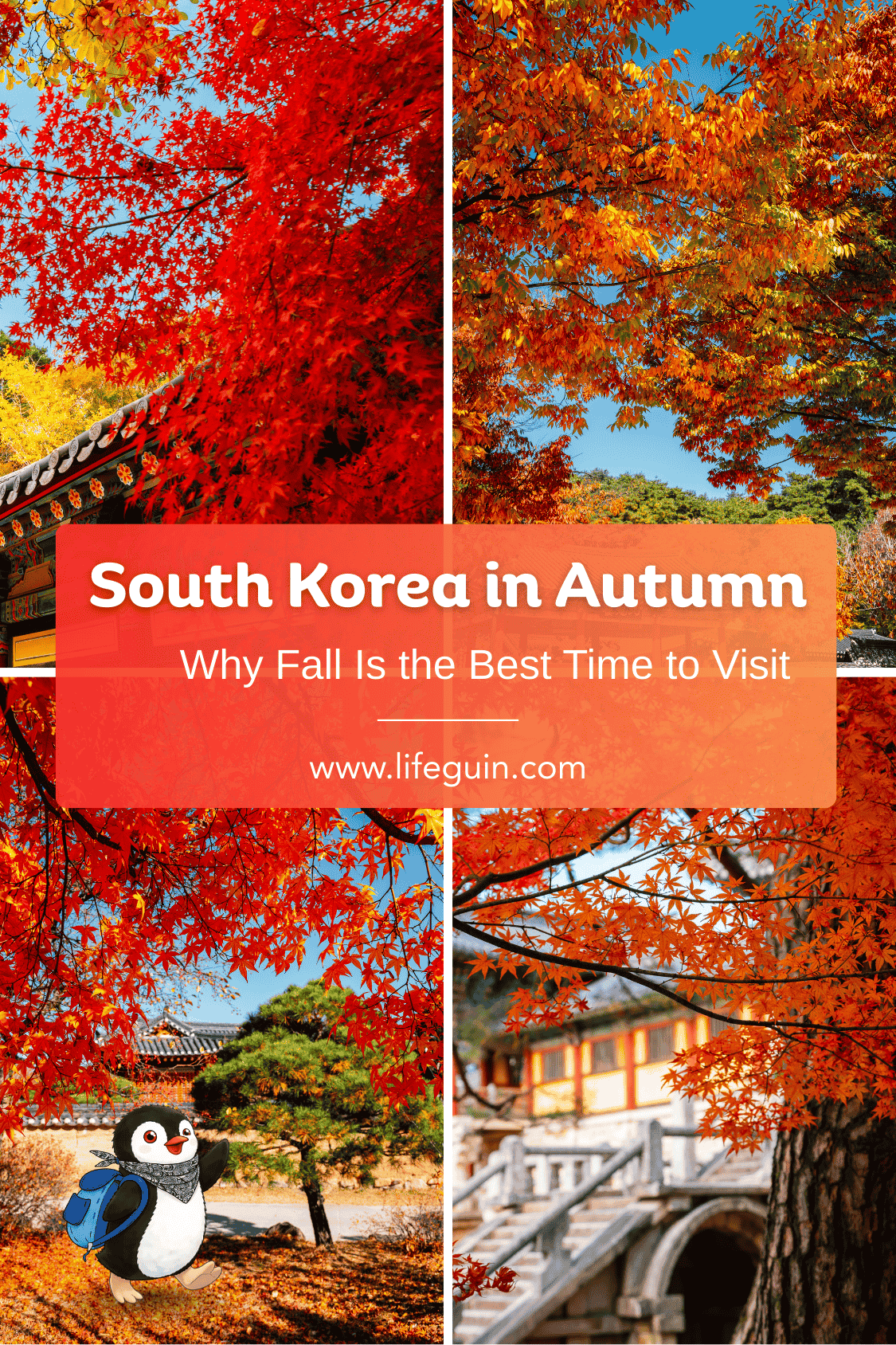 A cartoon penguin mascot Miško in South Korea during autumn with vibrant fall foliage