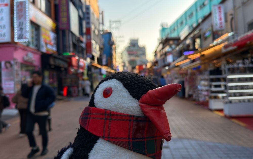 The Namdaemun Market Seoul featured