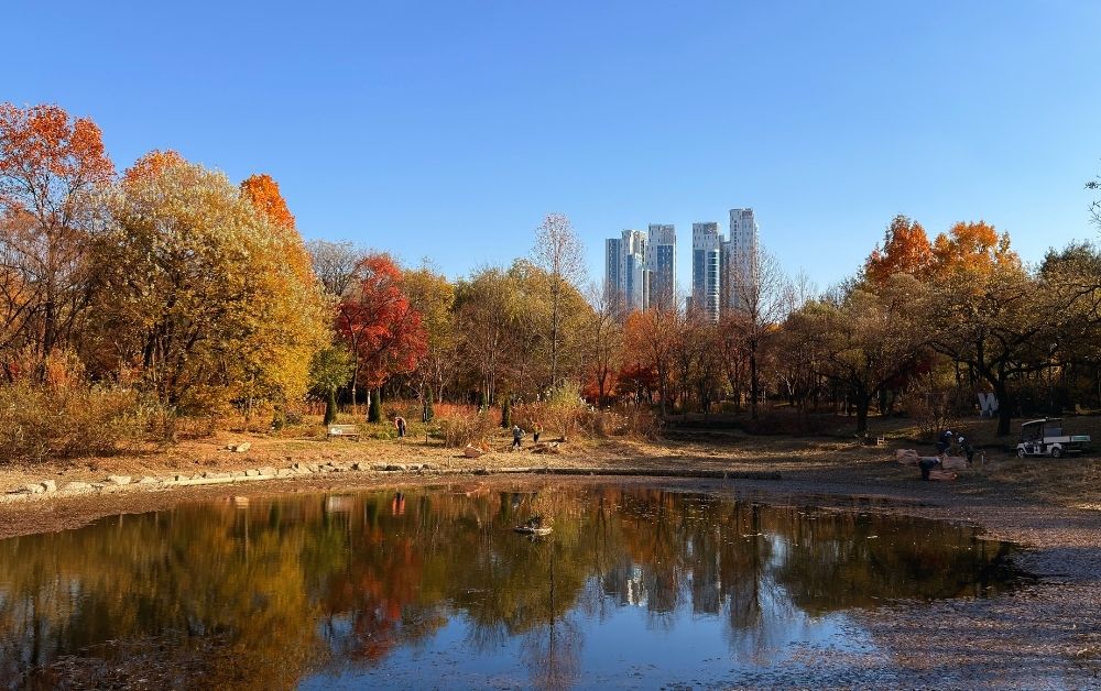 The Seoul Forest Park featured