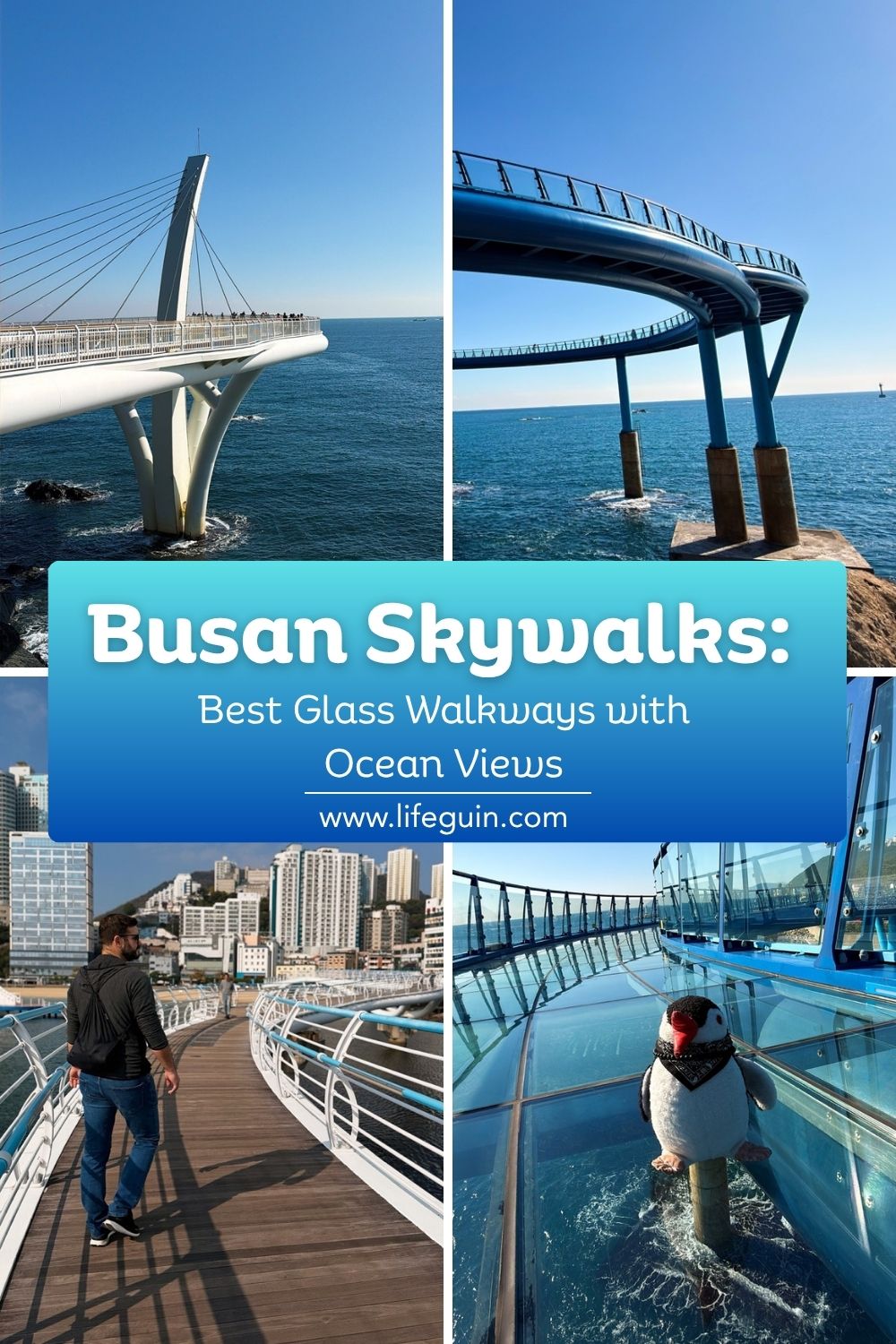 Collage of scenic glass skywalks extending over the ocean in Busan, South Korea