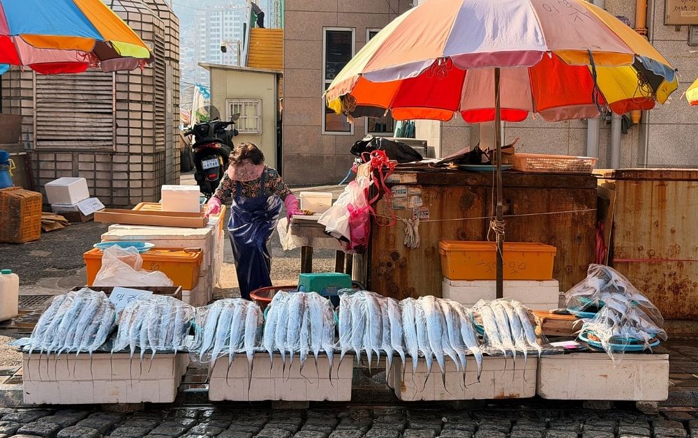 Jagalchi Market busan guide featured