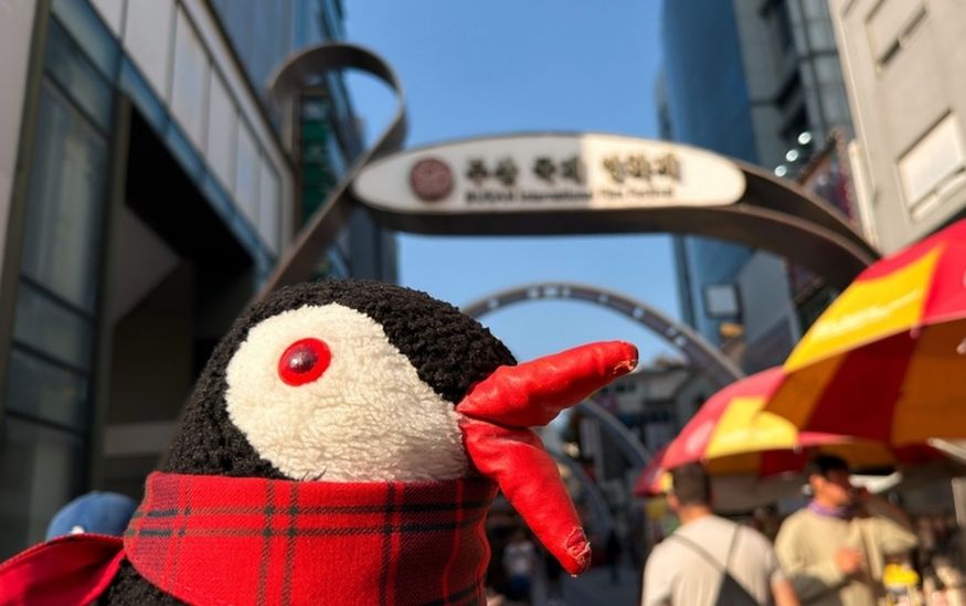 Lifeguin biff Square Busan guide featured