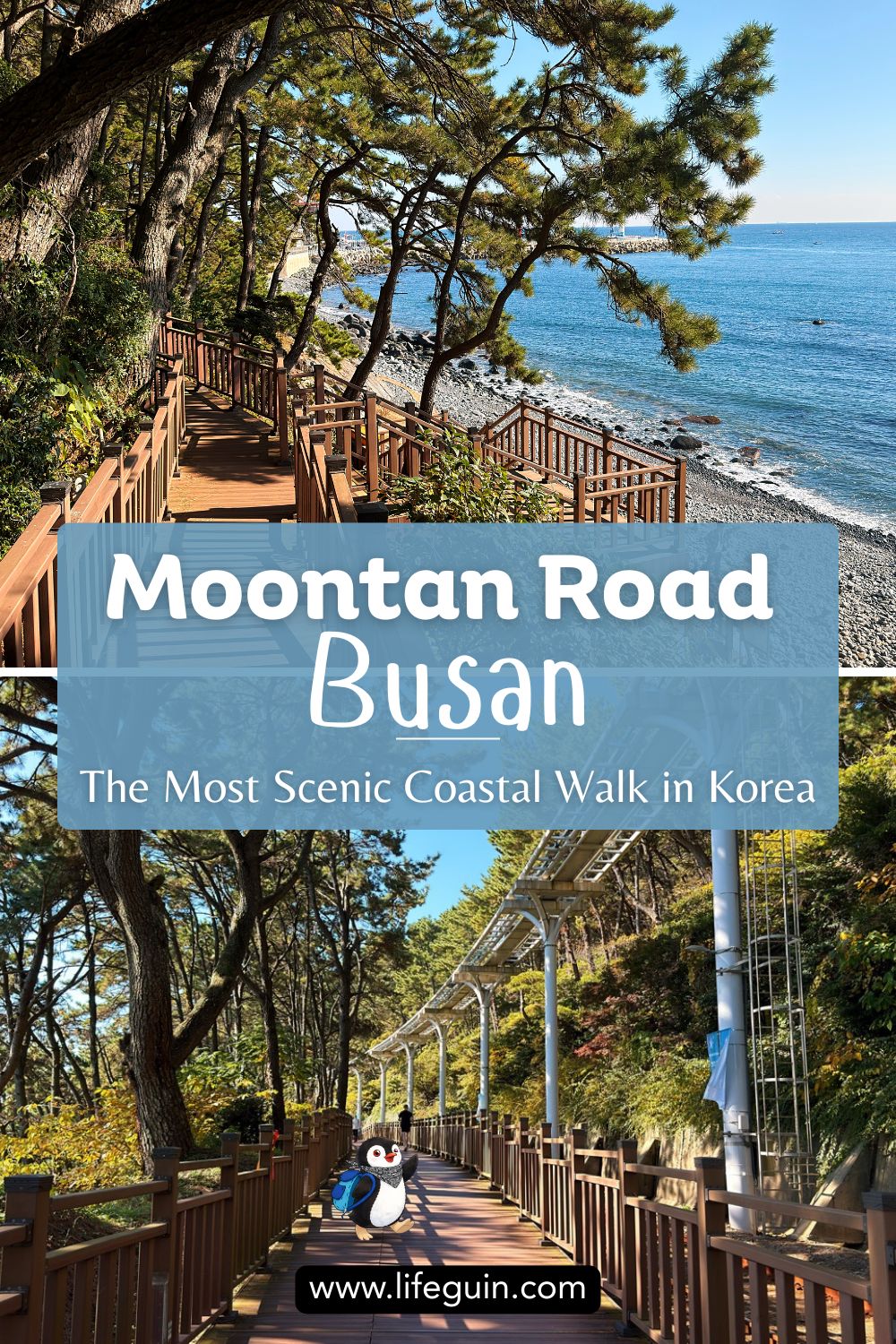 Moontan Road Busan travel graphic featuring a cartoon penguin mascot and scenic coastal walk