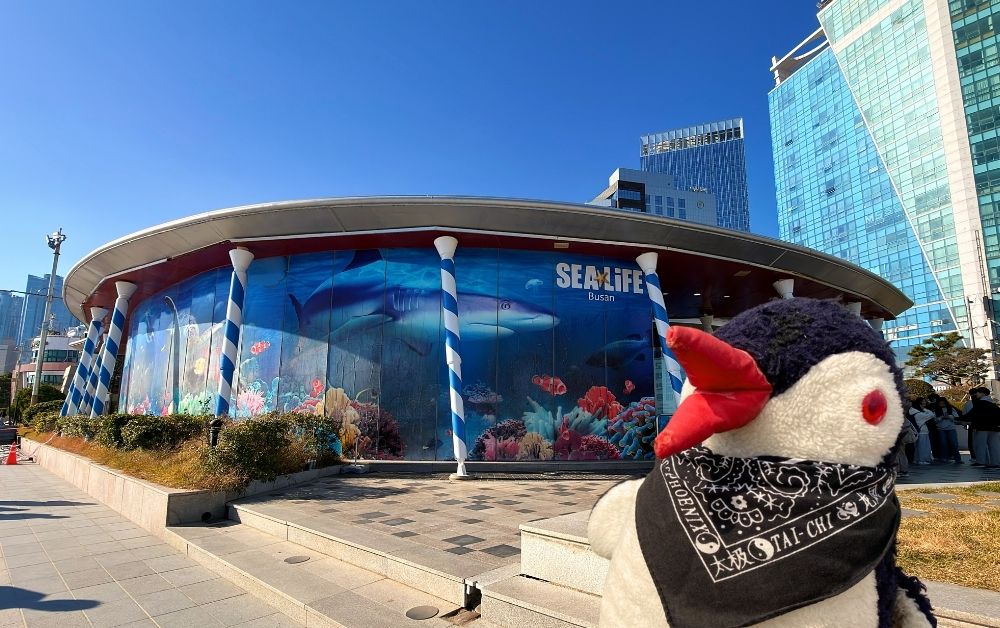 Sea life Busan aquarium featured