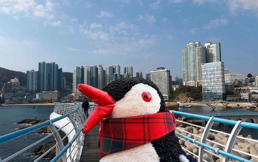 The Busan Skywalks guide featured