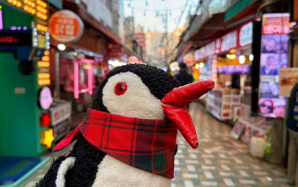 Haeundae Traditional Market Busan food guide featured