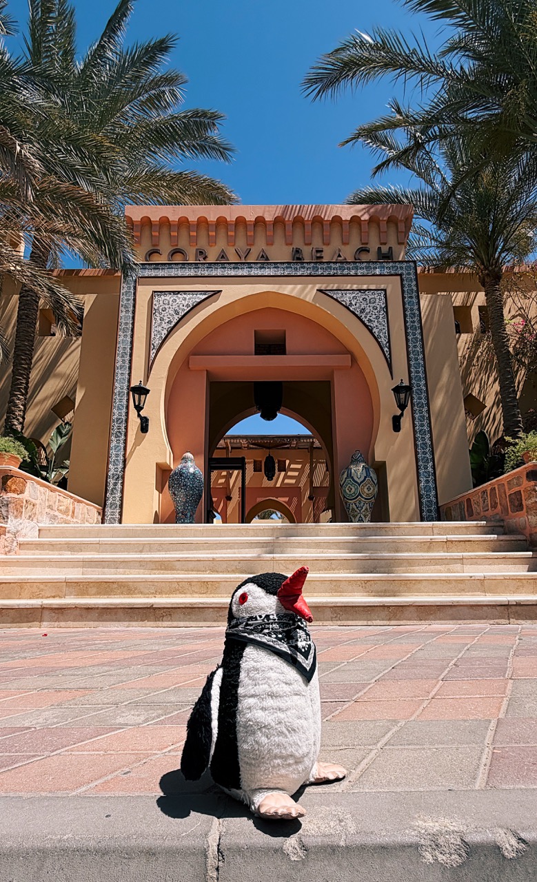Steigenberger Coraya Beach Review Egypt