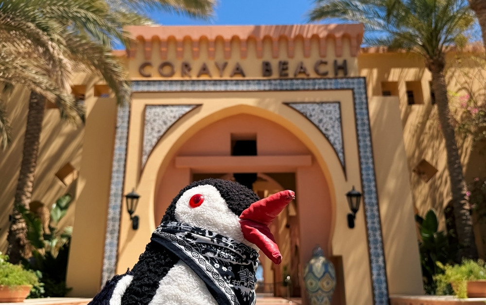 Steigenberger Coraya Beach Review Egypt featured