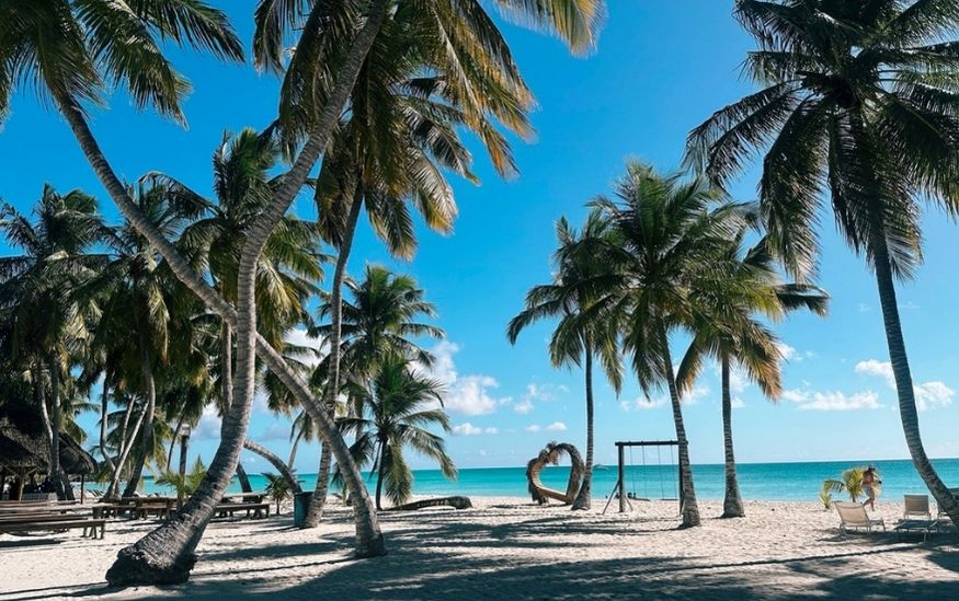 Desert Island Survival adventure featured