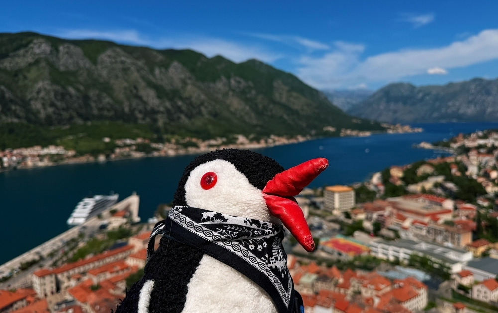 Dubrovnik to Kotor Day Trip review featured