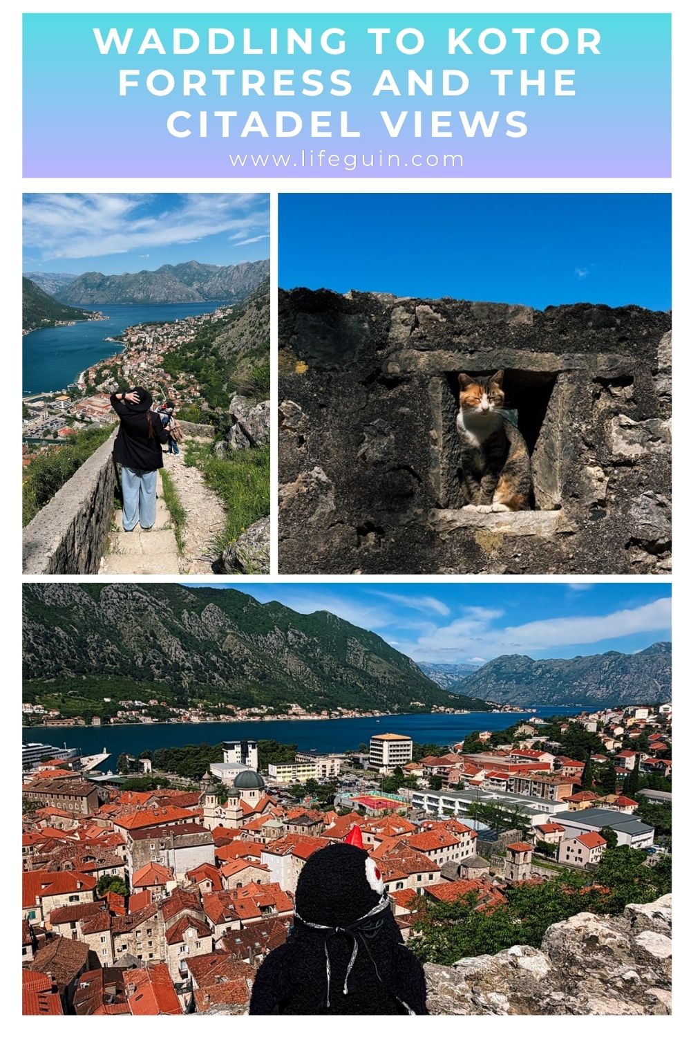 Kotor Fortress
