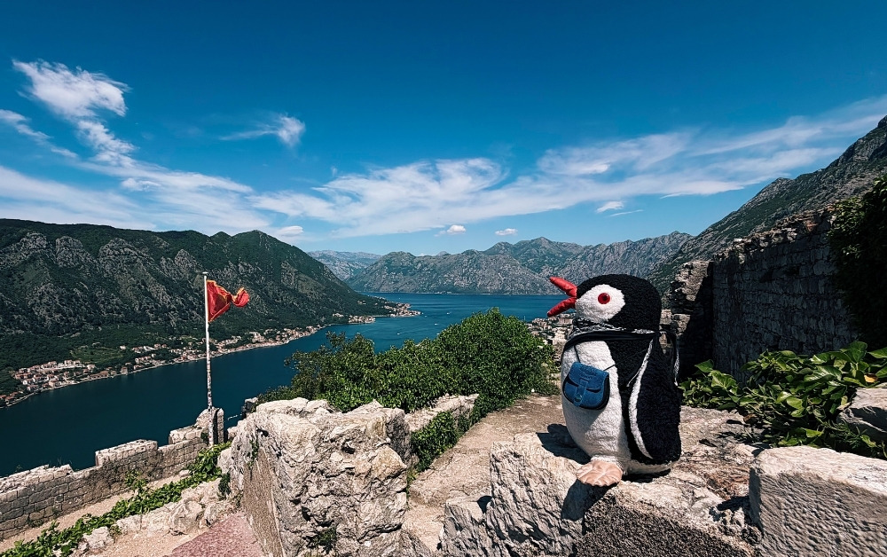 Kotor Fortress featured