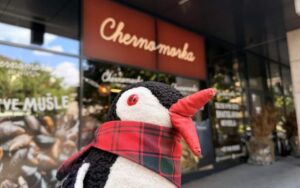 Chernomorka Bratislava Review featured