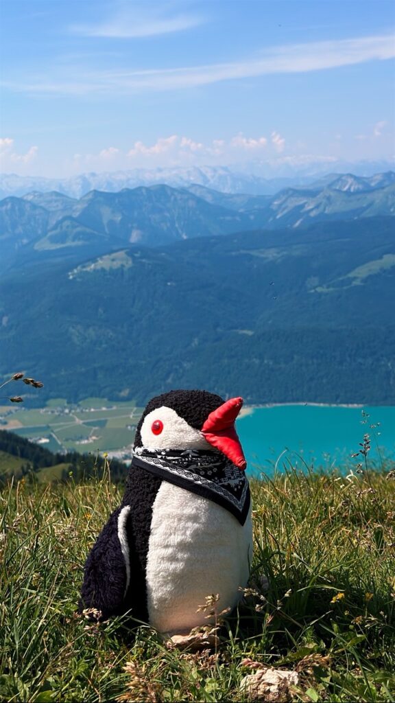 Schafberg austria Guide