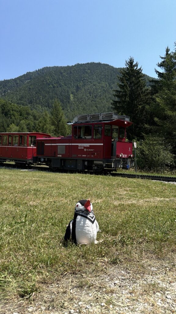 Schafberg austria Guide