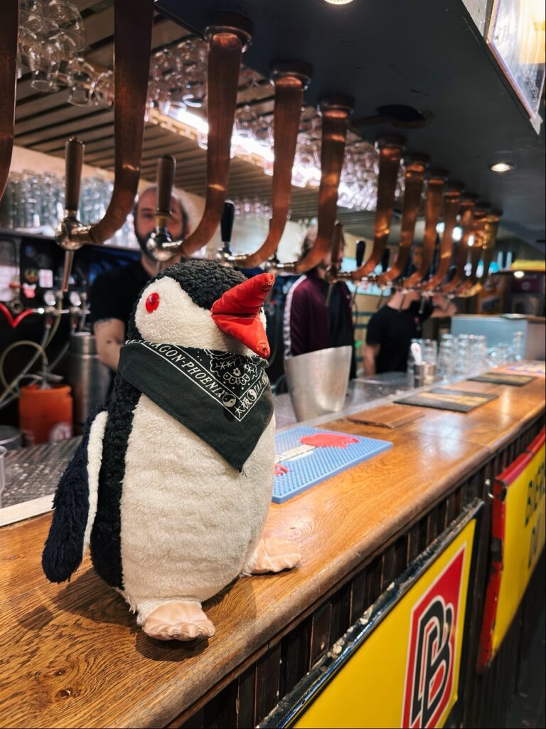 A plush penguin wearing a bandana sits on a Brussels bar counter