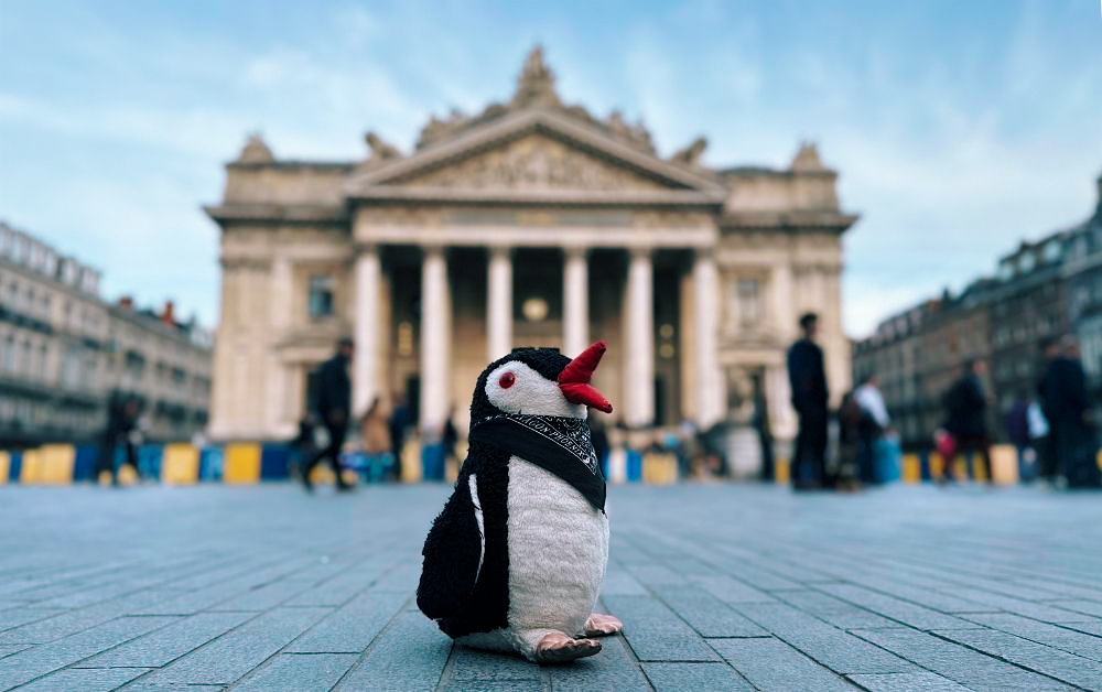 Miško the penguin sits on the pavement in Brussels with a large classical building in the background