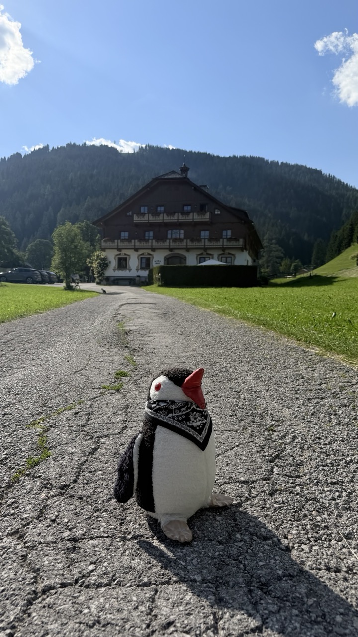Gloshof Bauernhof Pension review Ramsau am Dachstein