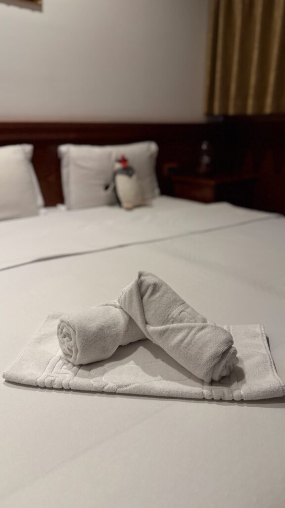 Hotel Senigallia Skopje review