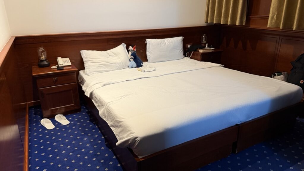 Hotel Senigallia Skopje review