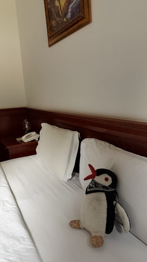 Hotel Senigallia Skopje review