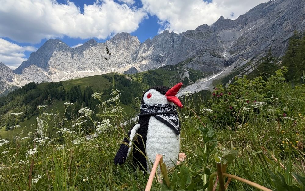 Ramsau am Dachstein best Things to do featured