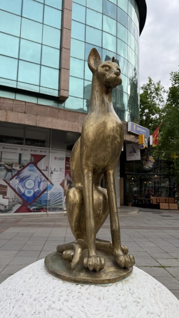 Skopje Travel guide Things to Know