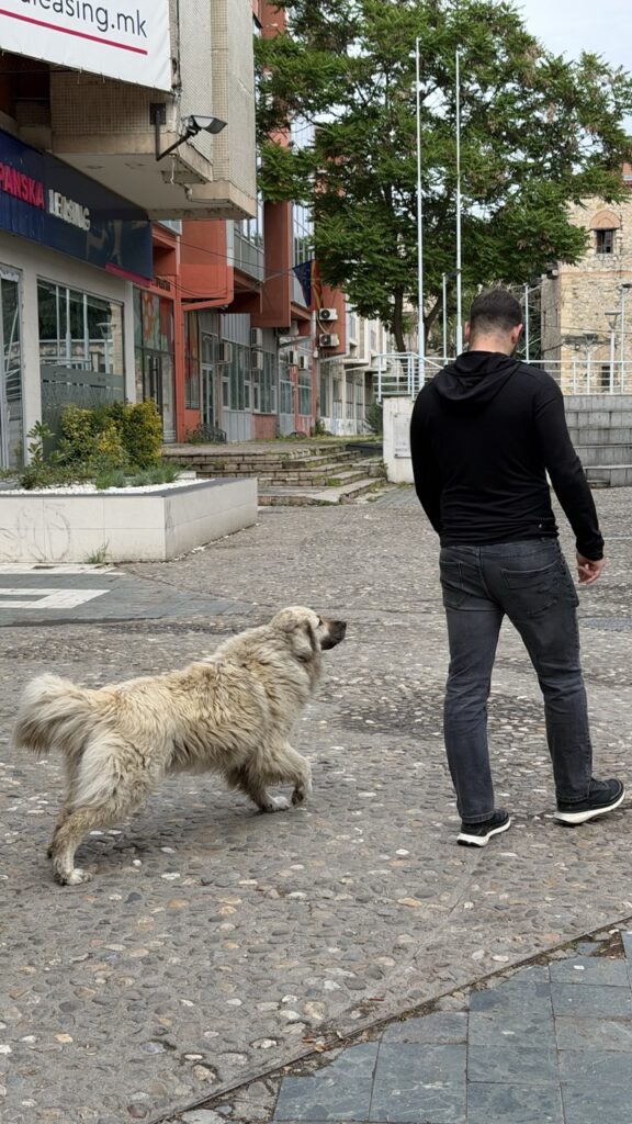Skopje Travel guide Things to Know