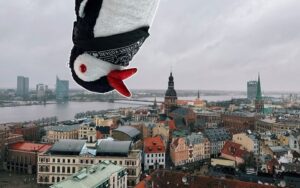A bird with a prominent beak perched on a high-rise building façade beside a sign