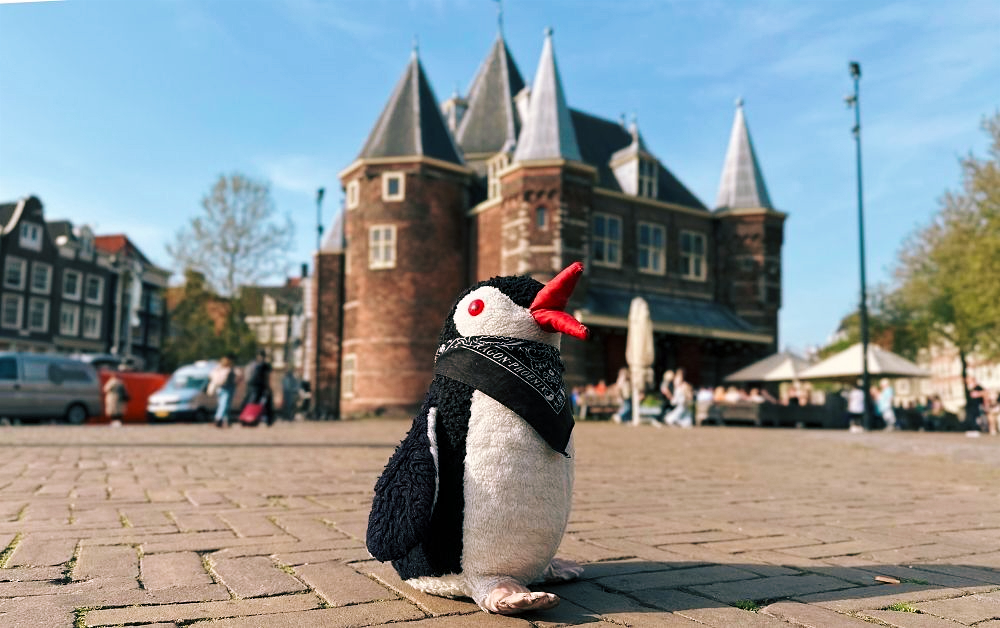 5 Days in Amsterdam: Our Day-by-Day Itinerary