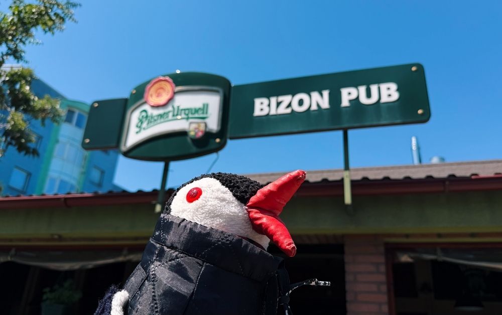 Miško the knitted penguin in a black jacket looks up at the green Bizon Pub Bratislava sign against a blue sky