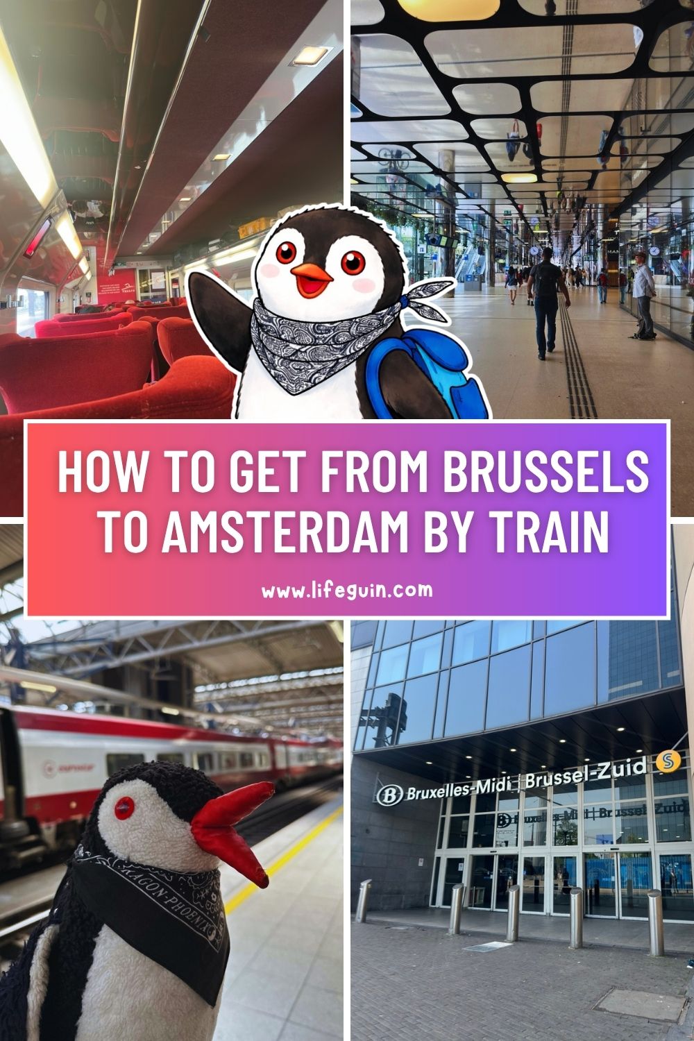 Brussel to Amsterdam Train