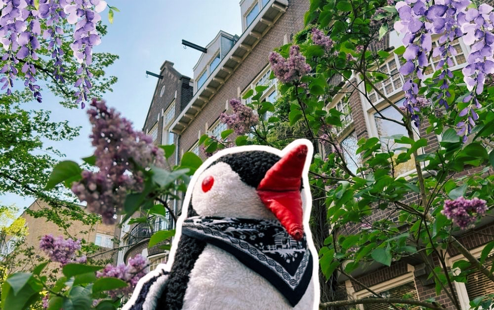 Dutch Design Hotel Vondelpark Amsterdam Review